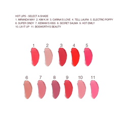 HOT LIPS LIP KIT MAKEUP KIT